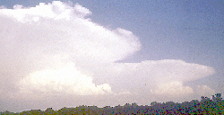 CUMULONIMBUS